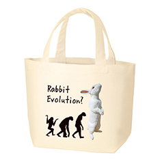Rabbit Evolution