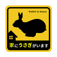 家にうさぎがいます