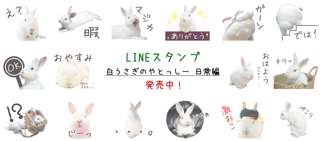 LINEスタンプ「白うさぎのやとっしー 日常編」発売中！